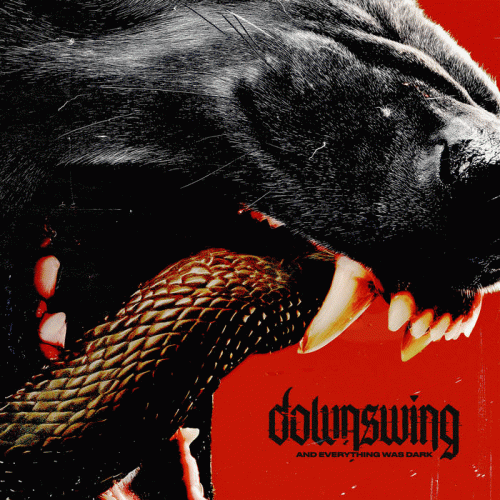 Downswing : And Everything Was Dark